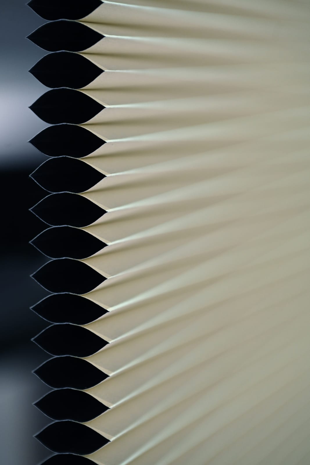 Day/Night Honeycomb Blinds 38mm