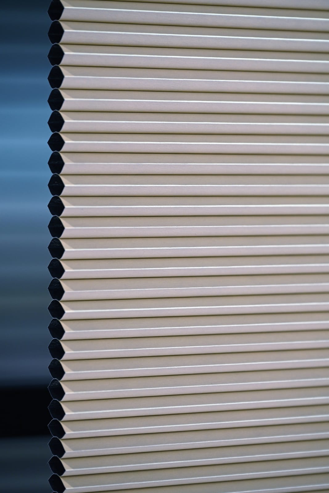 Day/Night Honeycomb Blinds 38mm — image 2