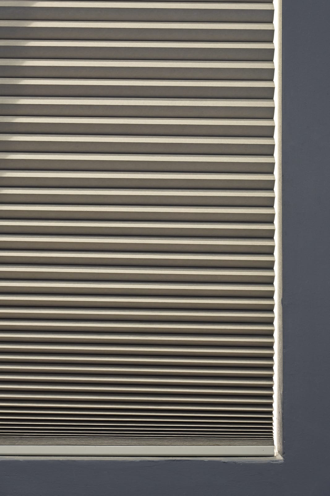 Day/Night Honeycomb Blinds 38mm — image 8